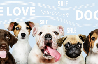 אביזרים ומוצרים לחיות מחמד – We Love Pet